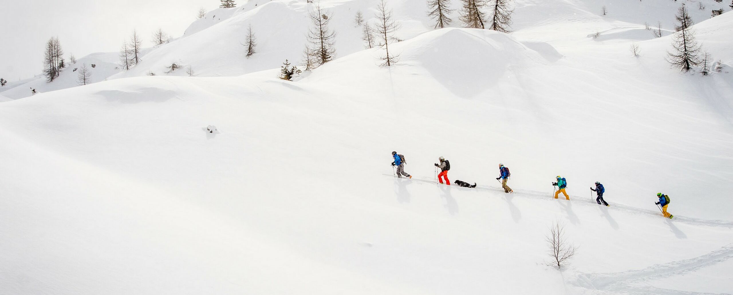 Corso Base di Scialpinismo – Tecnica e sicurezza in ambiente inve
